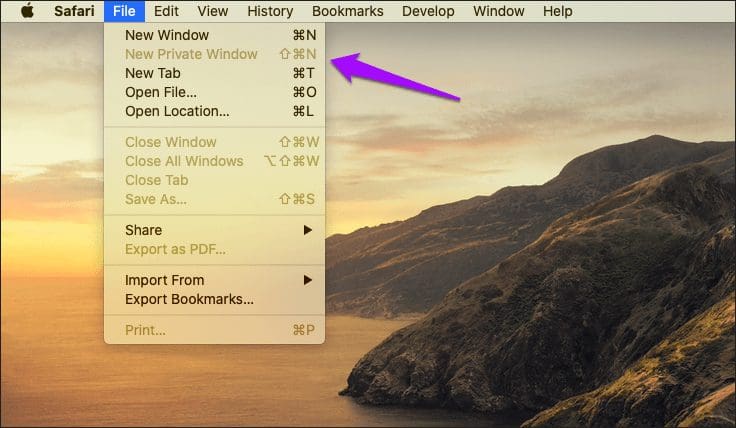 Disable Private Browsing Safari Mac 5