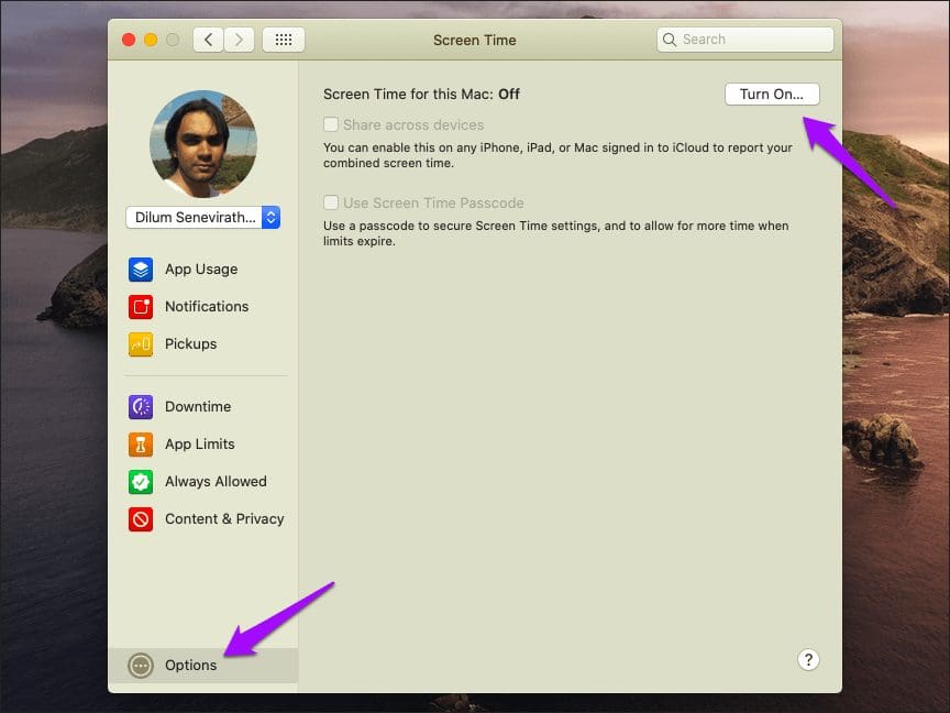 Disable Private Browsing Safari Mac 6