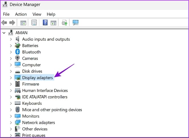 Display Adapters in Device Manager