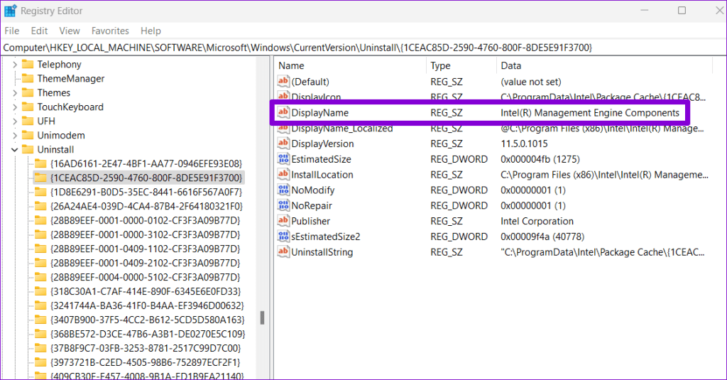 Display Name in Registry Editor