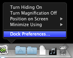 Dock Settings