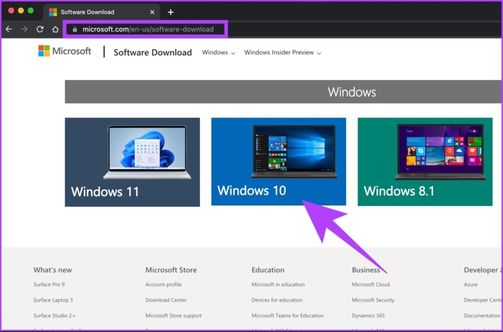 Download the Windows ISO