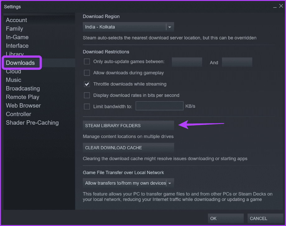 Downloads option in Steam