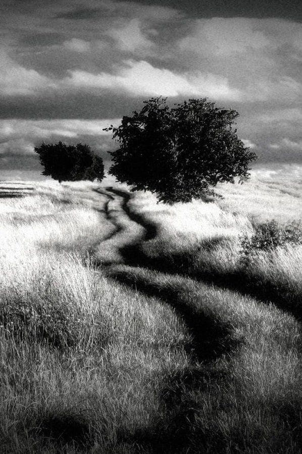 Dramatic Bw12