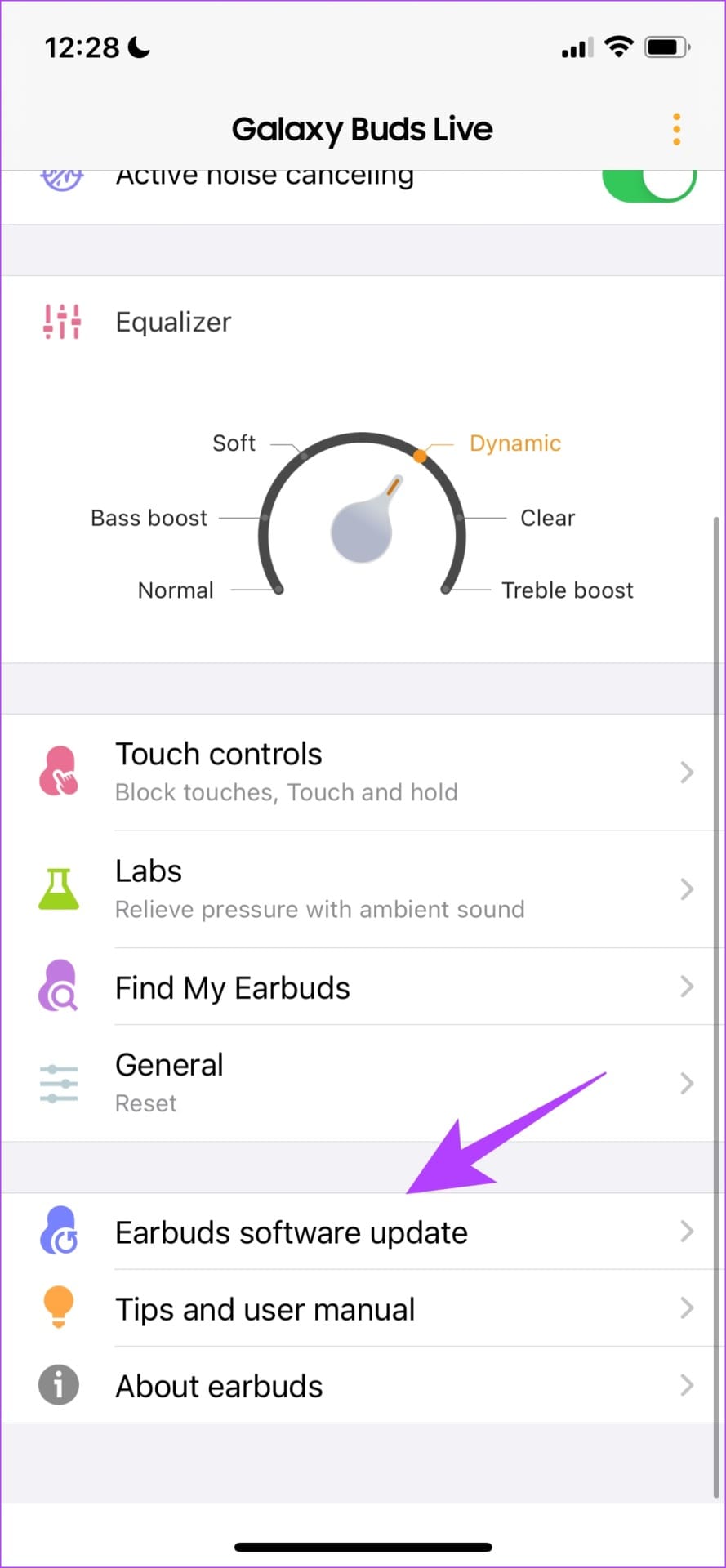 Earbuds Software Update