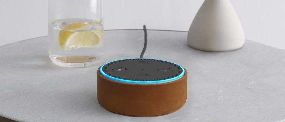 Echo Dot Cover