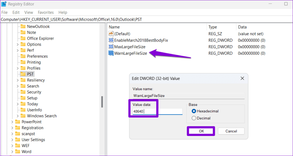 Edit WarnLargeFileSize DWORD