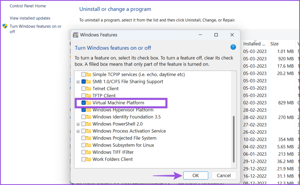Enable VMP