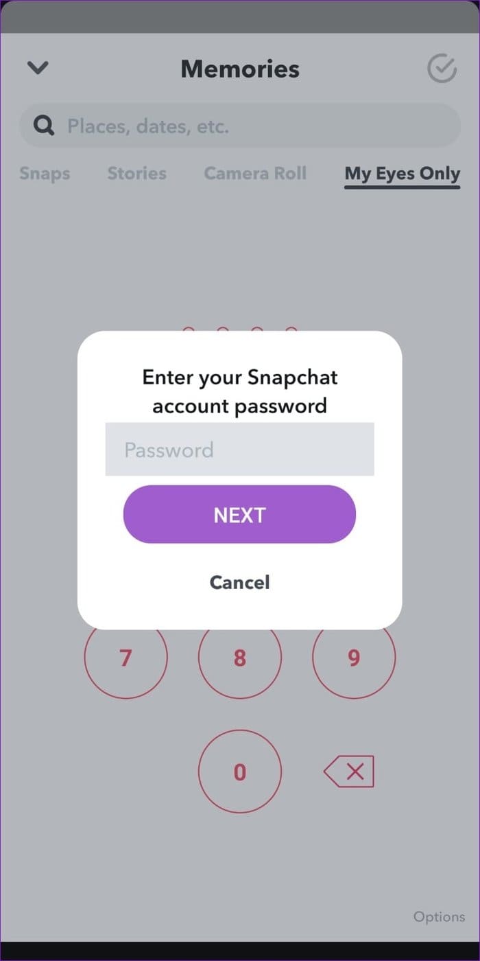 Enter Your Snapchat Passwrod