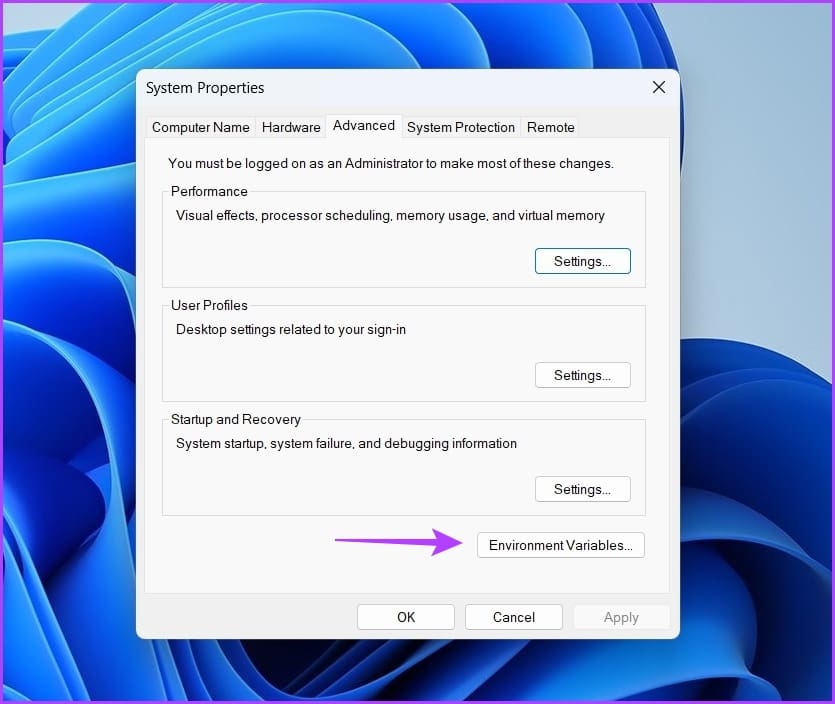 Environment variables option in Settings app