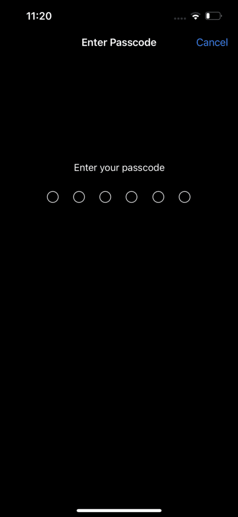 Enter PIn to access Face ID on iPhone
