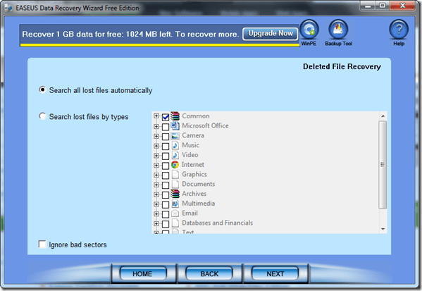 File Type