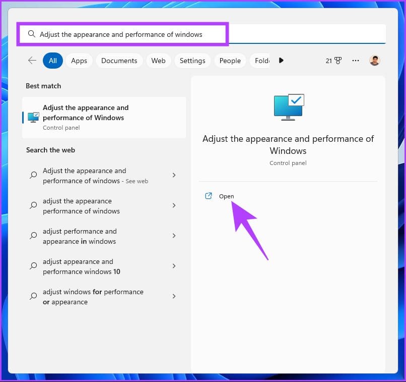 type ‘Adjust the appearance and performance of Windows