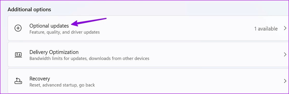 optional updates on windows