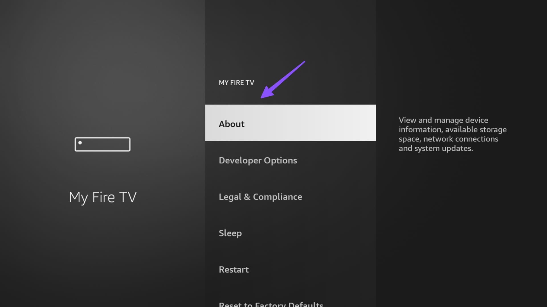 About Fire TV Stick