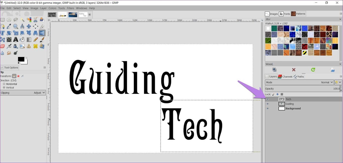 Flip Tool In Gimp 4