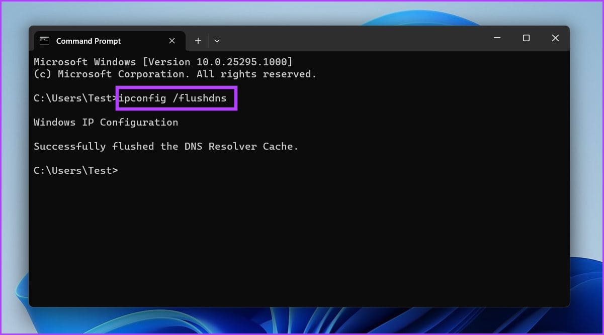 flush dns