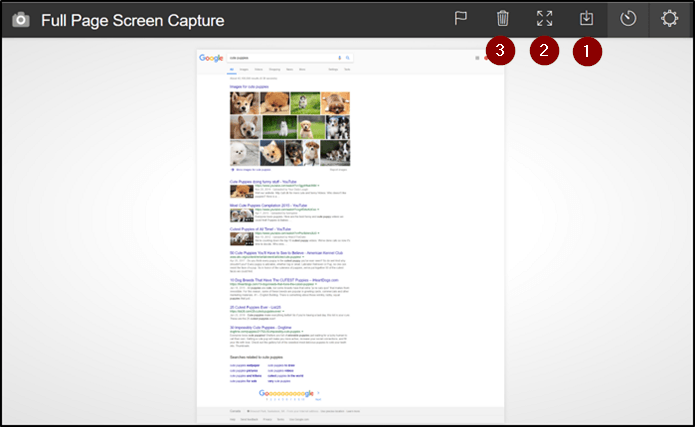 Full Page Screen Capture Puppies 1