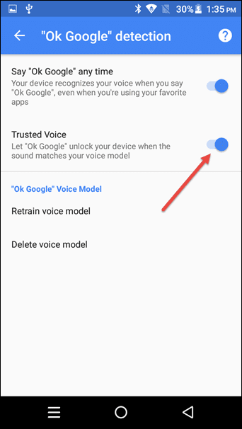 Google Assistant 17
