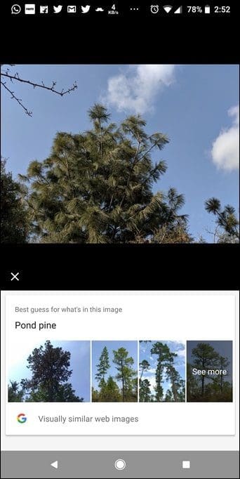 Google Lens Features 25