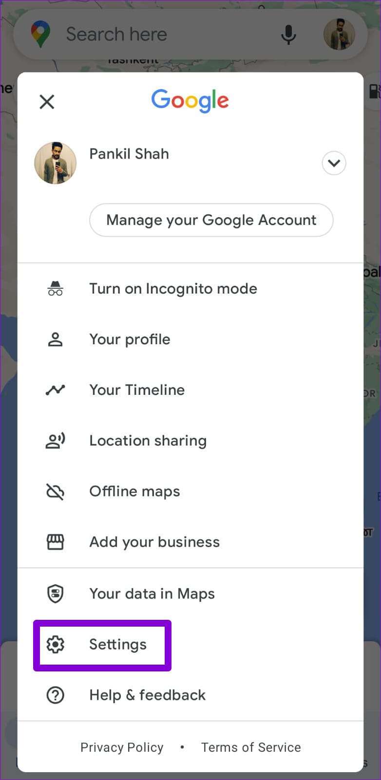Google Maps Settings