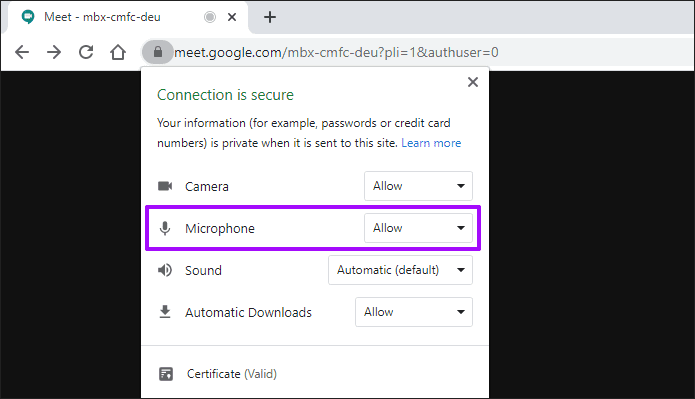 Google Meet Microphone Not Working Windows Mac 2