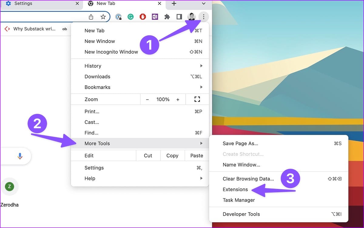 extensions in Chrome