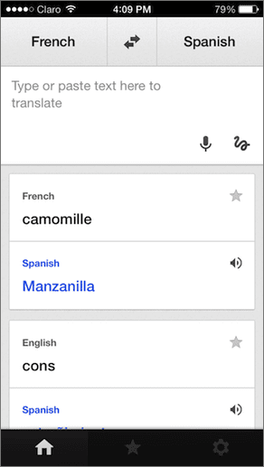 Google Translate Main