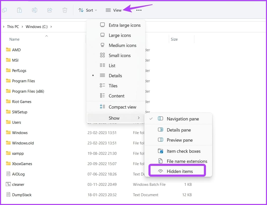 Hidden items option in File Explorer