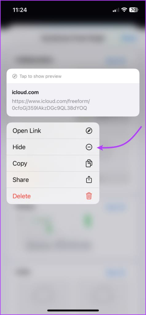 Select Hide to hide the project