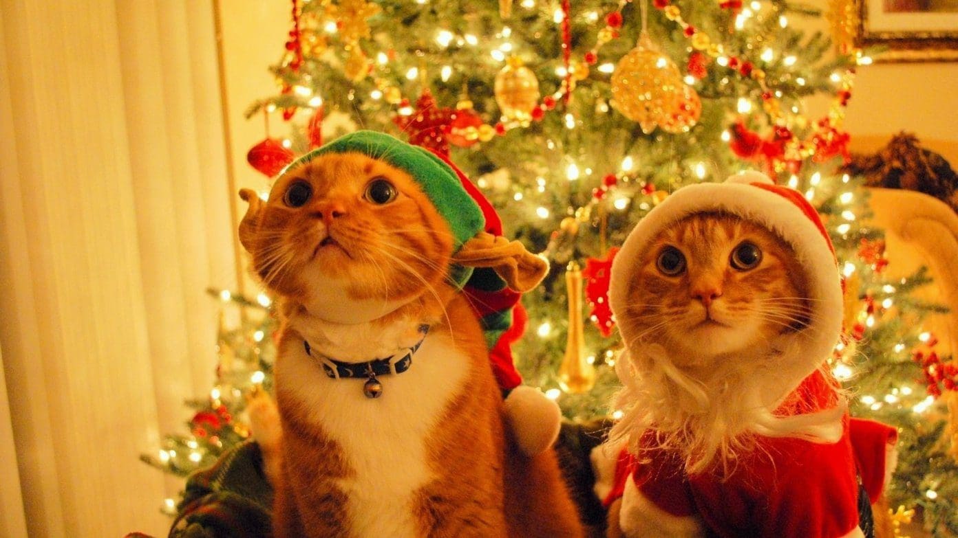 Holiday Wallpapers 2