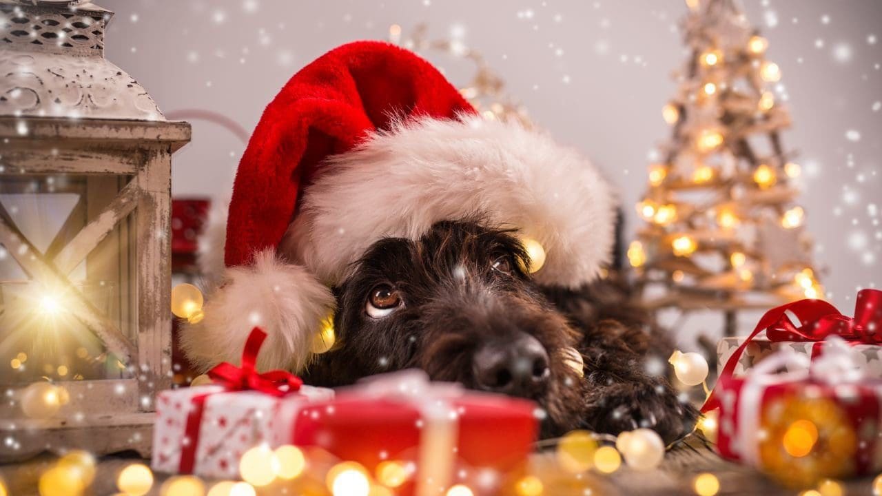 Holiday Wallpapers 5