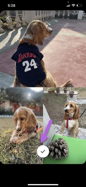 How to Add Multiple Photos to Instagram Post or Story 5