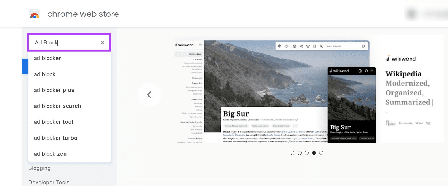 Search for ad block extension