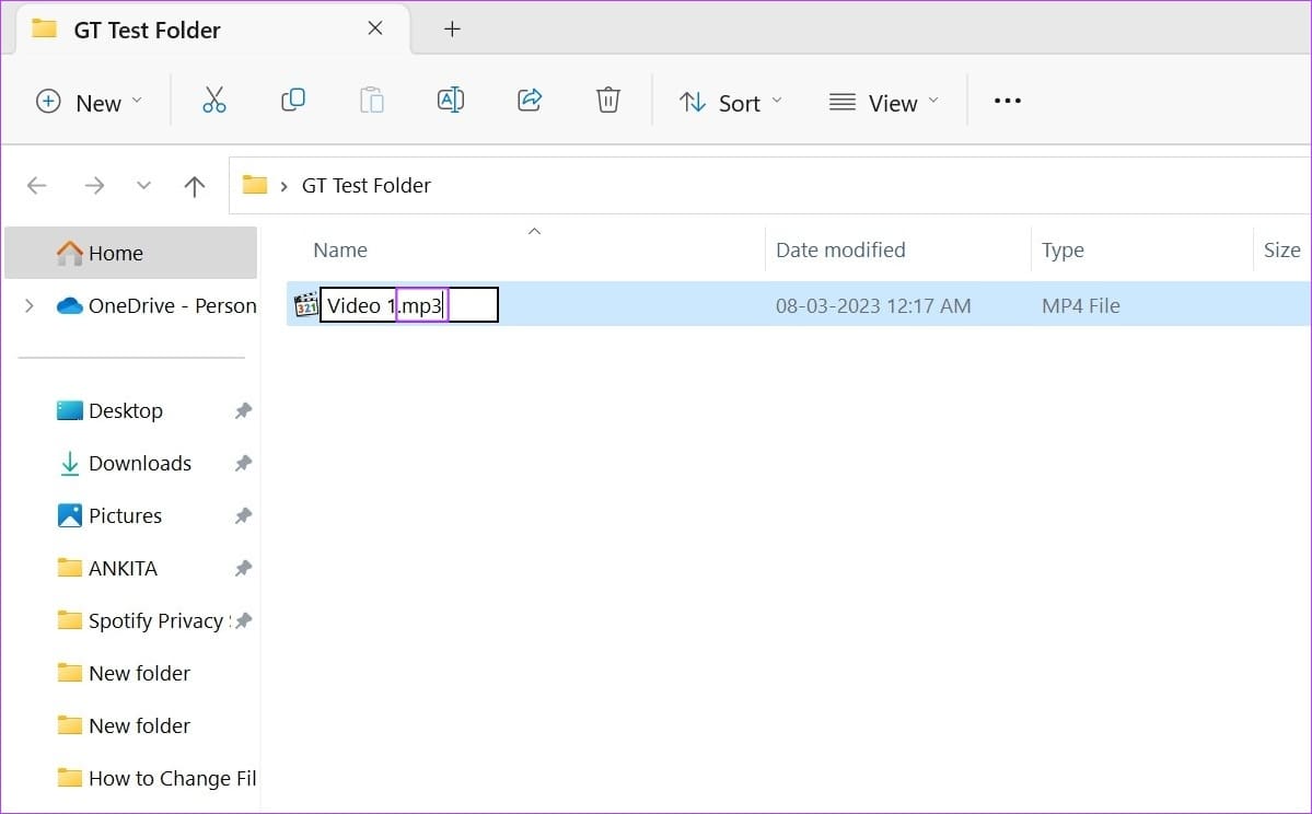 Rename the extension name