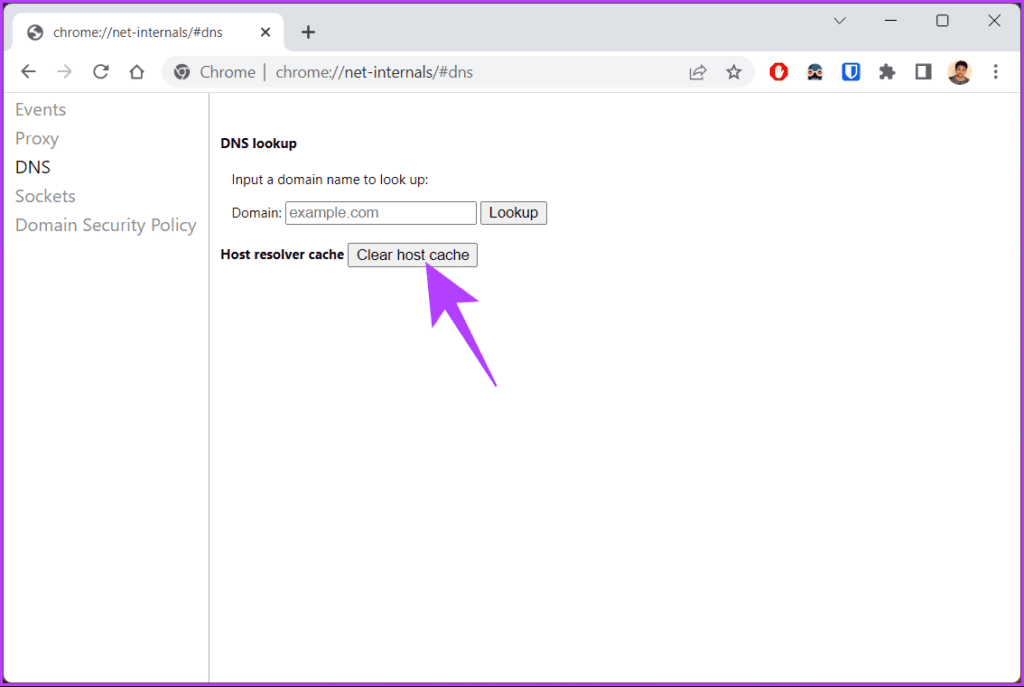 Click on the 'Clear host cache' button