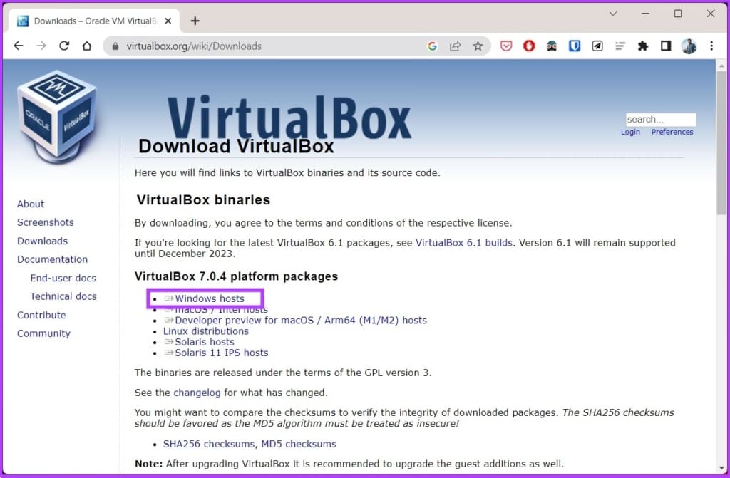 Windows hosts link