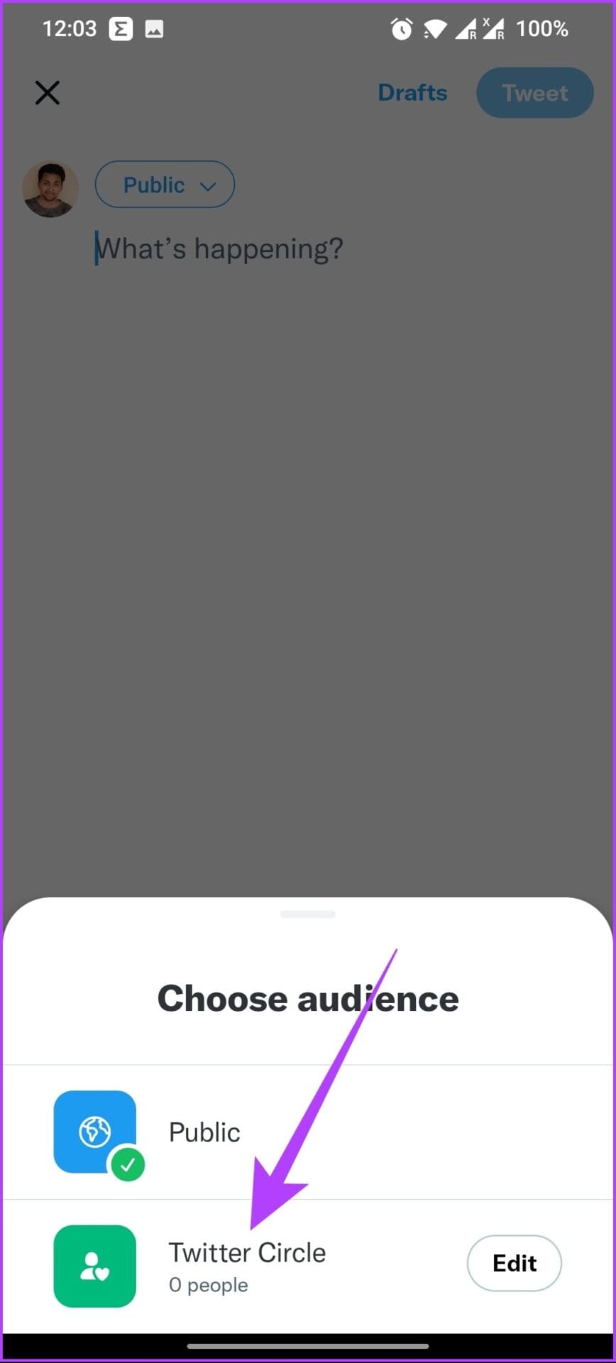 Select Twitter Circle under Choose audience