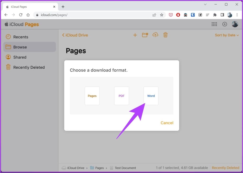 Choose a download format’ prompt