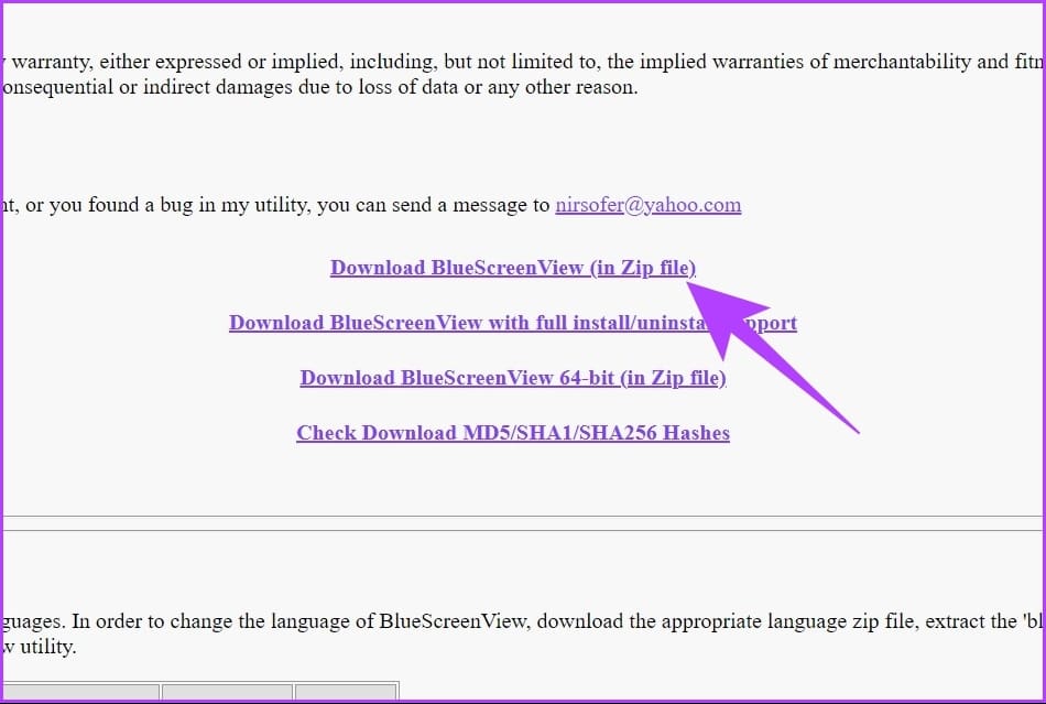 Download BlueScreenView