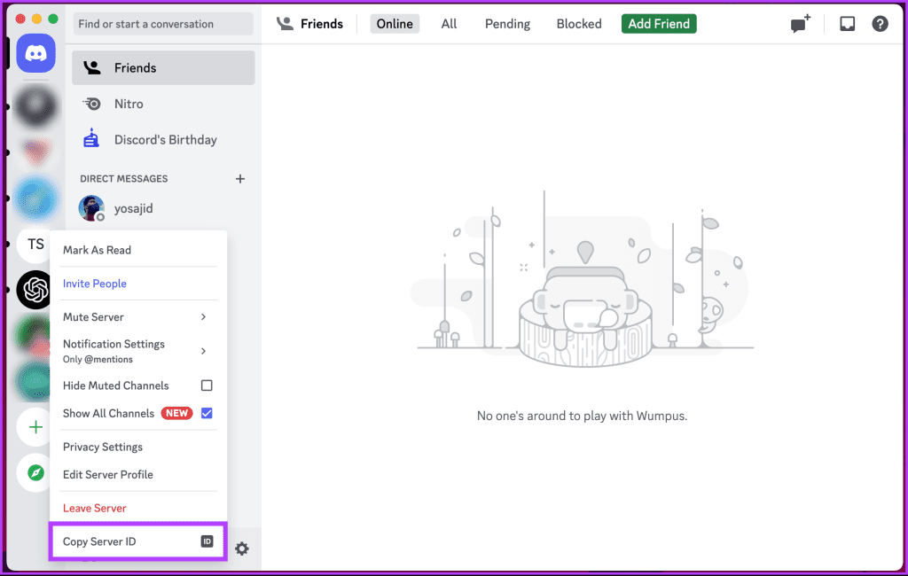 click 'Copy Server ID'