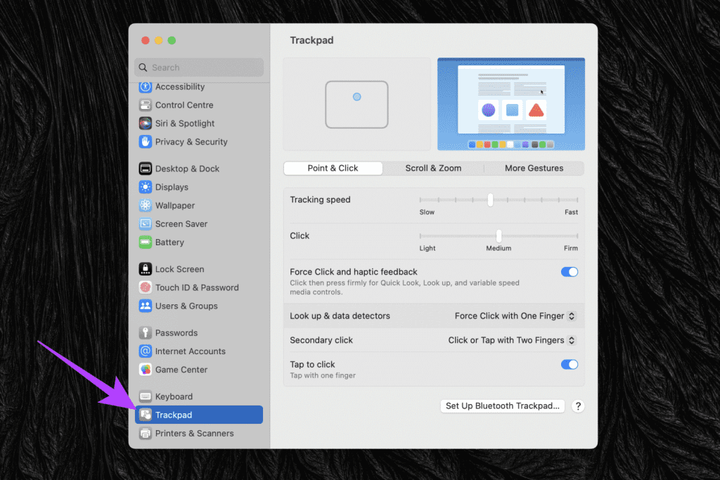 Open trackpad settings