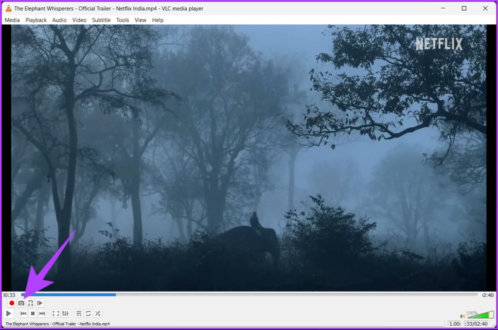 click the 'Take a snapshot' button below the video seek