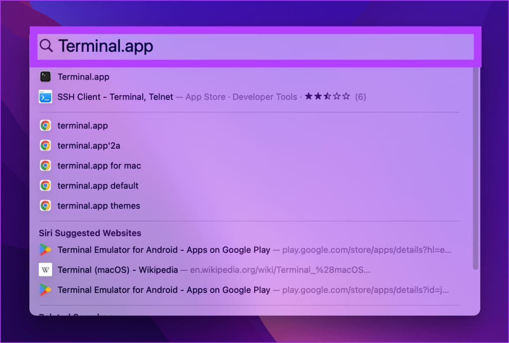 type Terminal