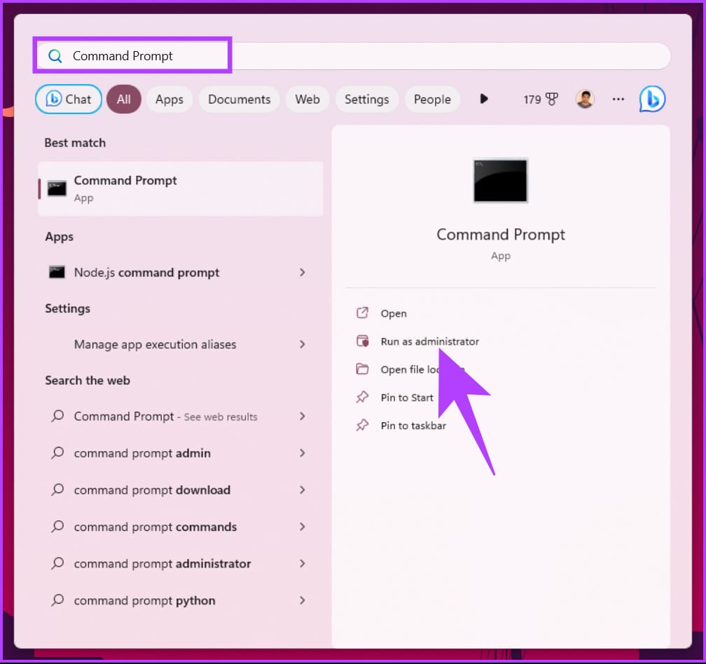 type Command Prompt 
