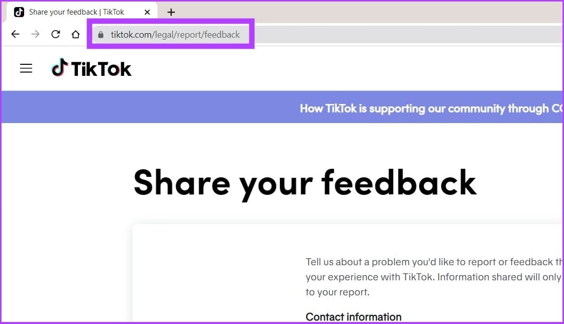 Go to the TikTok Report page