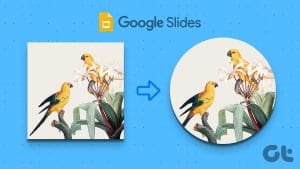 How to crop an image into a circle on powerpoint