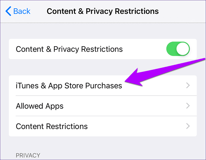 Ios 12 App Store Icon Missing 2