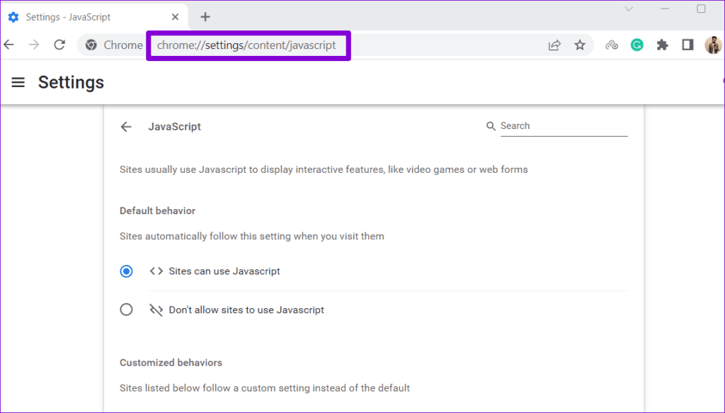 JavaScript Settings Chrome