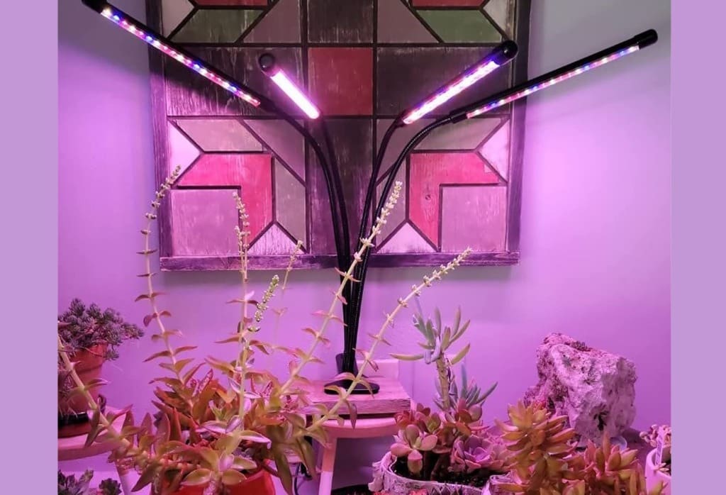 LEOTER Grow LED Lights